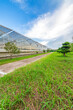 © 一飞 黄 - The greenhouse of modern agriculture is under the blue sky and white clouds.
