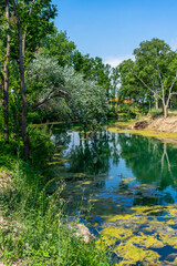 View of the beautiful El Clot de la Mare de Deu pond in the town of Burriana with reflections of the trees in the water