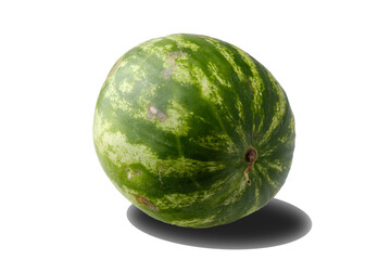 Poster - a large juicy ripe watermelon, isolated on a white background with added shadow.