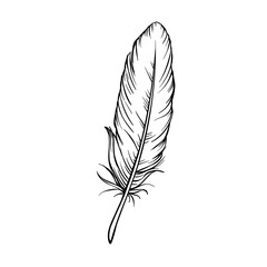 Sticker - Hand drawn feathers