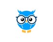 Cute and smart owl with eyeglass
