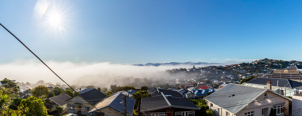 Poster - A foggy day in Wellington, New Zealand