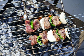 BBQ grilling meat with a bonfire outdoors