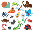 Vector Illustration of Cute insect set. Cartoon insects. beetle, butterfly, bee, snail. cockroach