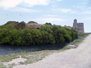 Wall Mural - Fort Tatihou