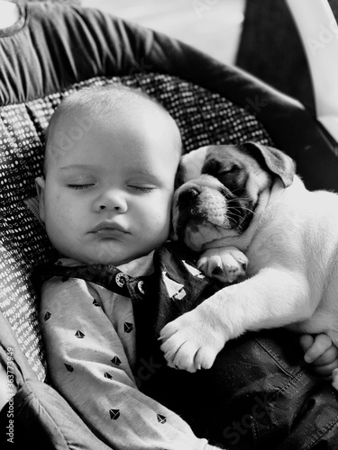 Close-up Of Cute Baby Boy With Dog Sleeping In Stroller