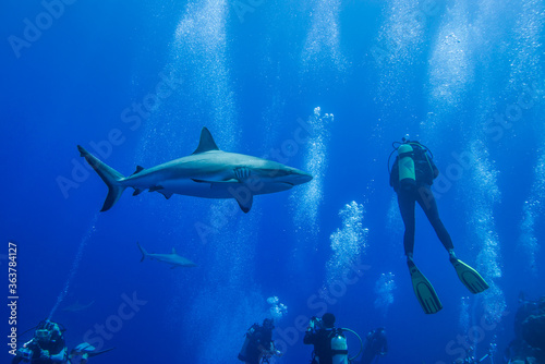 Yap Obrazy Plakaty Fototapety Na Sciane Fotodruk Pl Strona 9