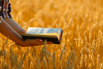 Christian woman praying on holy bible and wooden cross in barley field on summer. Woman pray for god blessing to wishing have a better life and believe in goodness.