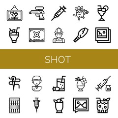 Wall Mural - shot icon set