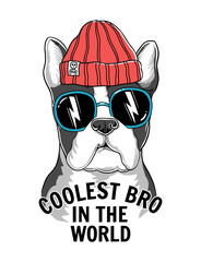 Wall Mural - Cool Dog illustration . Vector illustrations for t-shirt prints and other uses.
