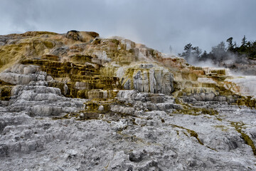 Minerva Terrace, Yellowstone National Park, Wyoming, USA