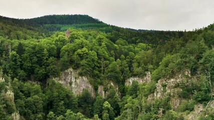 Wall Mural - View of Nideck Castle above the Nideck Waterfall in the Vosges Mountains - Alsace, France