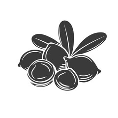 Sticker - Macadamia glyph icon