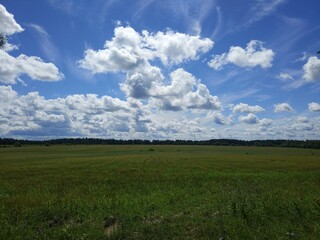 field and sky