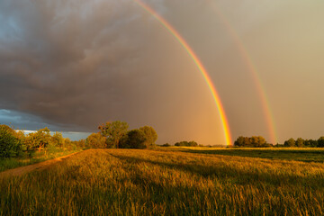  A double rainbow against a dark cloud over a meadow