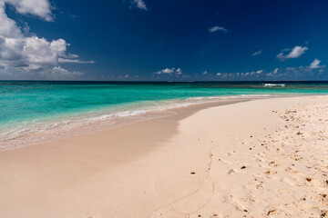 tropical beach with palm trees