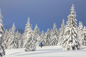 Beautiful landscape on the cold winter morning. On the lawn covered with snow there is a trodden path leading to the high mountains with snow white peaks, trees in the snowdrifts.