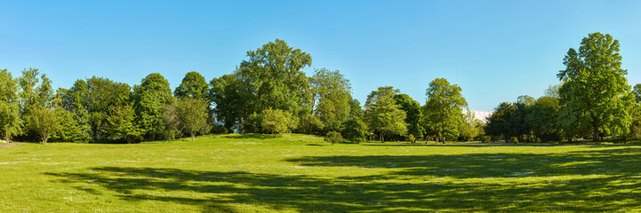 green meadow in the park with trees and sky in summer