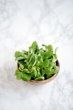 Lettuce Green Salad