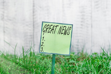 Conceptual hand writing showing Great News. Concept meaning the surprised reaction of learning good news or fortunate event Plain paper attached to stick and placed in the grassy land