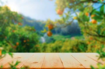 Wall Mural - Empty wood table with free space over orange trees, orange field background. For product display montage