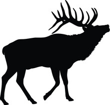 Deer Silhouette Vector