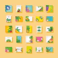 Poster - set of templates summer with flowers, fruits and symbols of summer