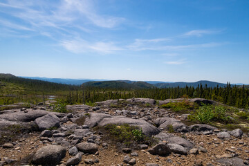 Wall Mural - Beautiful landscape in the Grands-Jardins national park, Canada