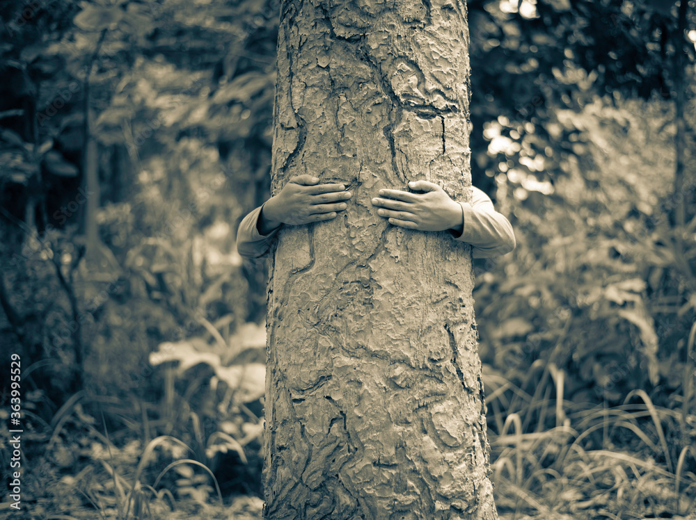 Tree Hugging Human human hugging a tree with black and white style tone, concept to ...