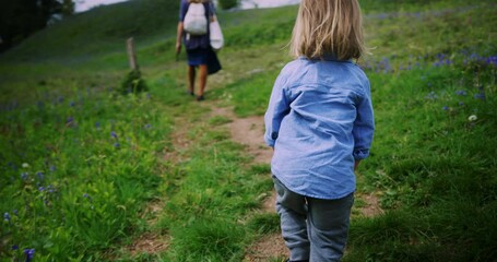 Wall Mural - Mother and preschooler walking in a meadow