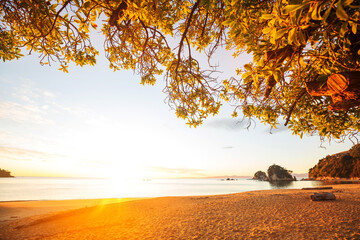 Canvas Print - New Zealand coast