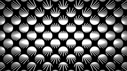 Wall Mural - Vector - Burst lines pattern in sphere shape.Black and white geometry background.Oval radius