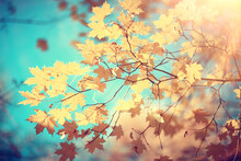 Branches Leaves Yellow Background / Abstract Seasonal Background Falling Leaves Beautiful Photo