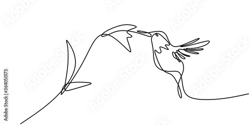Continuous One Line Drawing Of Hummingbird Minimalism Drawing Flying Bird On Flowers Isolated On A White Background Avian National Zoo Park Concept Humming Bird Isolated Vector Illustration Buy This Stock Vector
