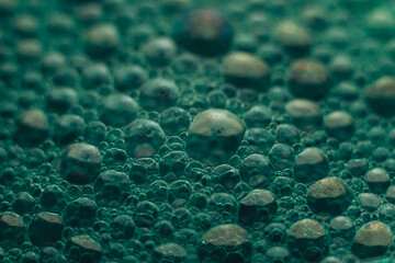 Poster - Beautiful abstract green bubbles background pattern for design. Liquid fluid texture for background, banner.