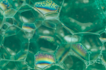 Aufkleber - Close up Beautiful green abstract soap bubbles. Background pattern for design. Macro photography view.