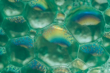 Aufkleber - Close up Beautiful green abstract soap bubbles. Background pattern for design. Macro photography view.
