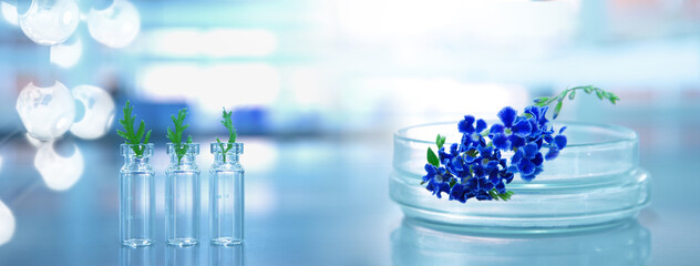 Wall Mural - purple blue nature flower on glass plate and vial with chemical structure in blue biotechnology scie