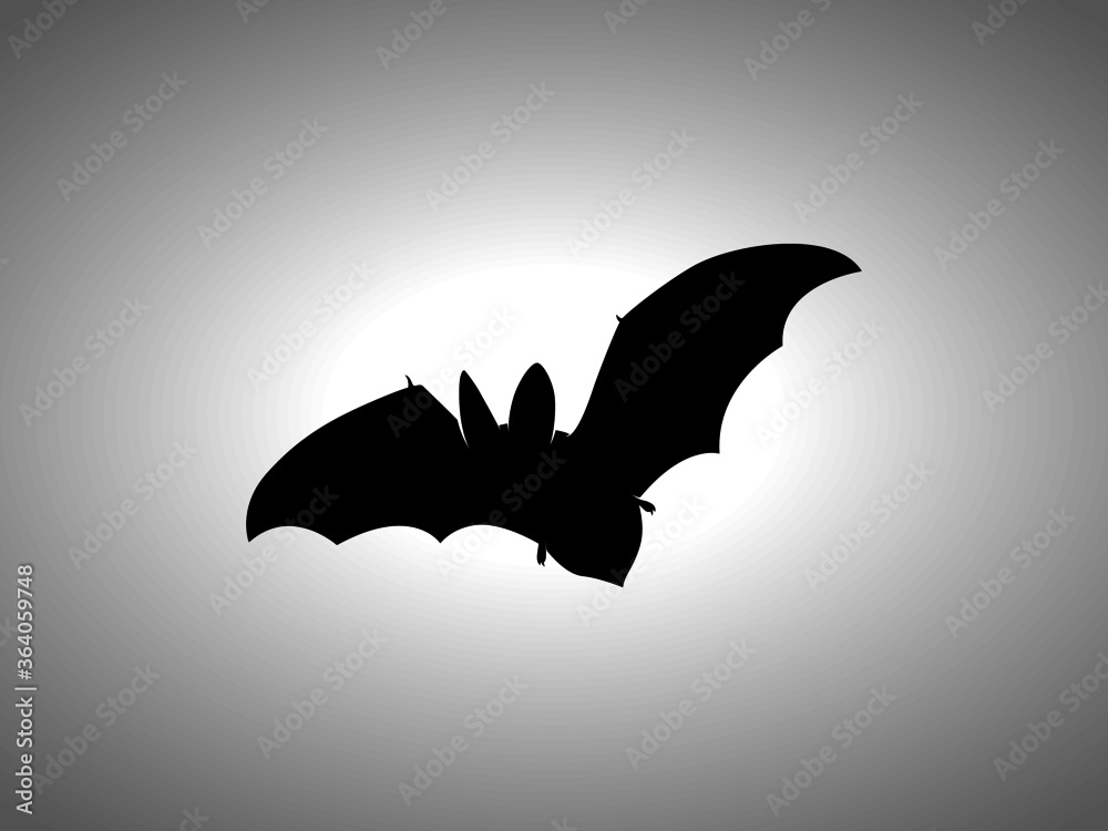Bat Silhouette on White Background. Isolated Vector Animal Template for ...
