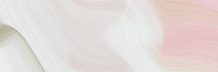 Fototapete - abstract modern designed horizontal header with light gray, pastel gray and dark gray colors. fluid curved flowing waves and curves for poster or canvas