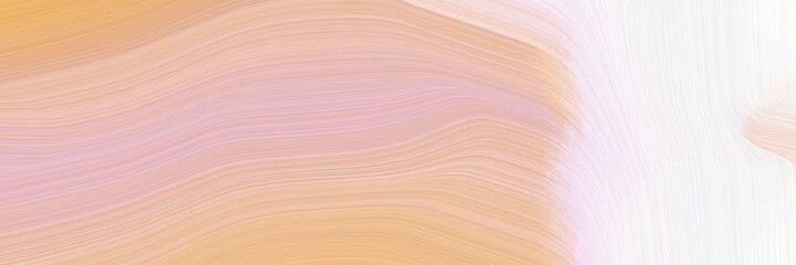 Poster - abstract moving header with baby pink, white smoke and burly wood colors. fluid curved lines with dynamic flowing waves and curves for poster or canvas