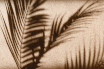 Wall Mural - Tropics minimalist abstract blurred background of palm leaf shadow over kraft paper.