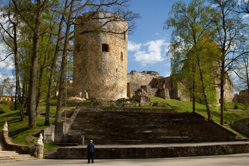 Wall Mural - Ruin of castle in Cesis.