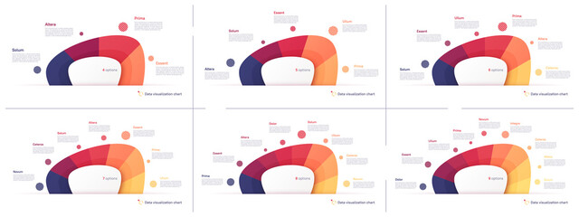 Vector pie chart infographic templates in the form of abstract shape