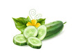 Vector realistic cucumber green haulm leaf flower