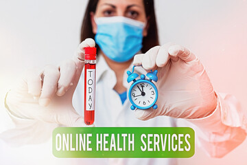 Poster - text sign showing online health services. business photo showcasing healthcare delivered and enhance
