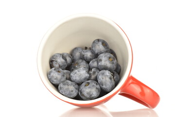 Ripe juicy organic blueberries, close-up, isolated on white.