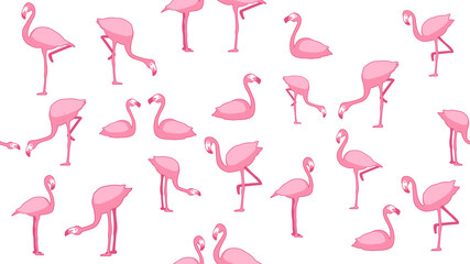  Bird seamless pattern, Flamingo on white wallpaper. 
