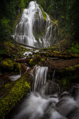 Canvas Print - Waterfall in Oregon at Proxy Falls