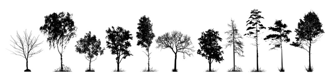 a set of silhouettes of trees. vector illustration